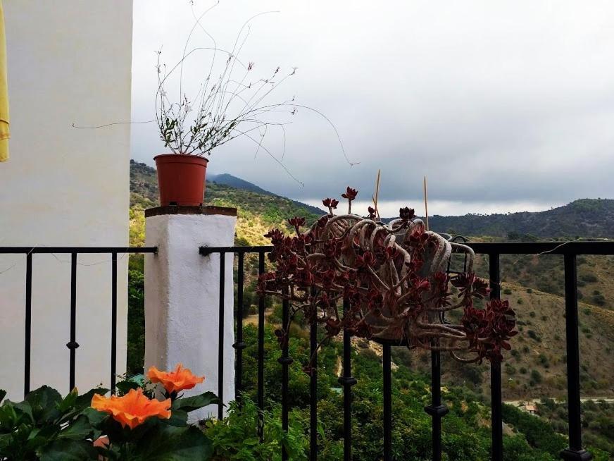 Sedella Posada Puente Romano المظهر الخارجي الصورة