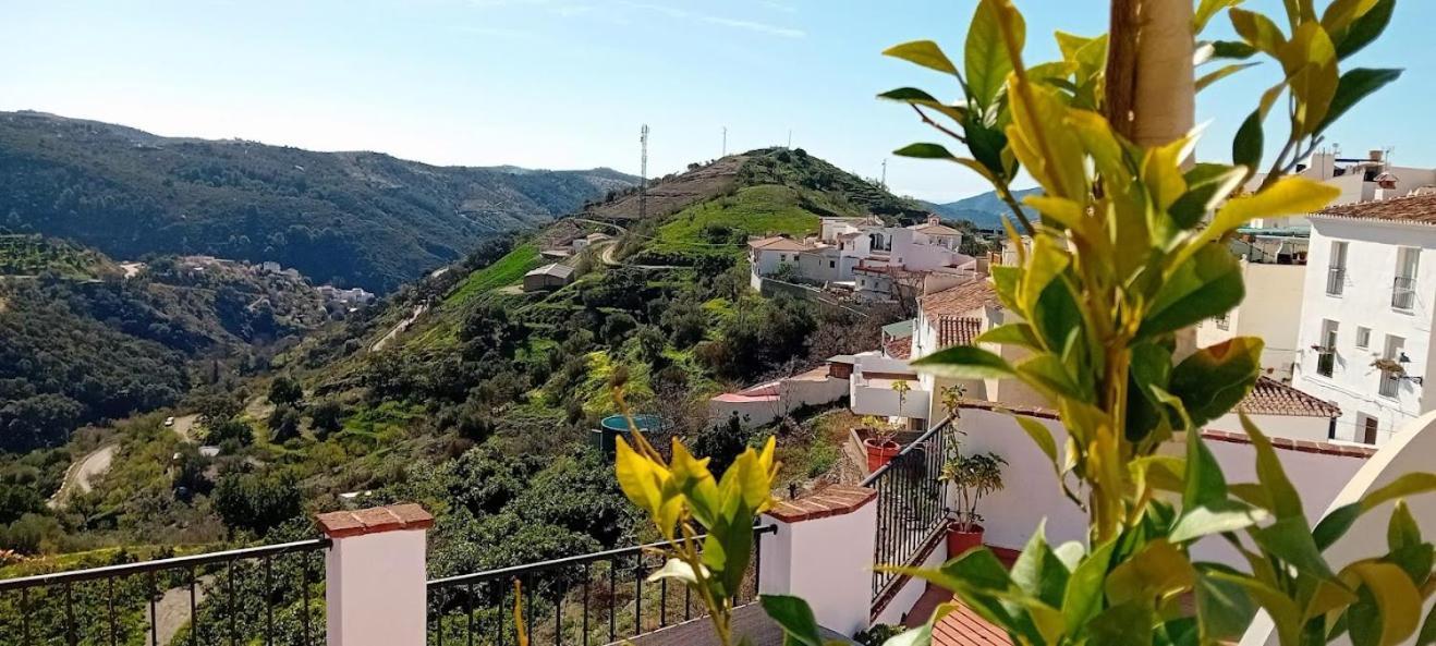 Sedella Posada Puente Romano المظهر الخارجي الصورة